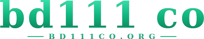 bd111 co logo